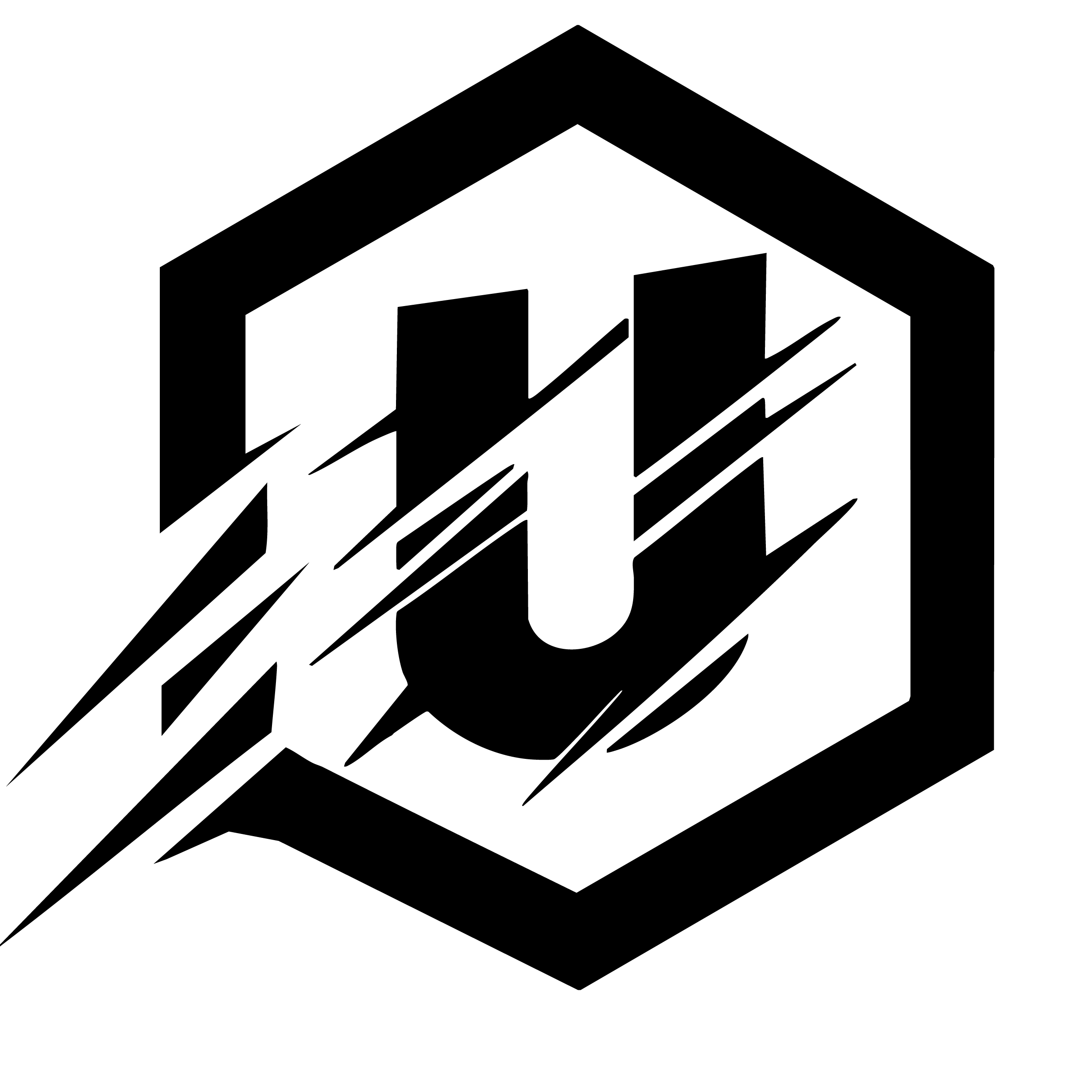 UNLEASH FITNESS Logo